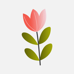 Creative Spring Flower Illustrations with Fresh and Bright Botanical Elements for Branding