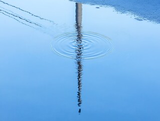 Reflection of Pole in Puddle