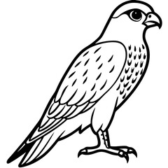 Clean and Modern Falcon Line Art
