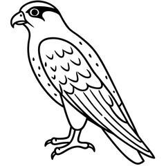 Clean and Modern Falcon Line Art
