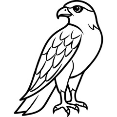 Clean and Modern Falcon Line Art