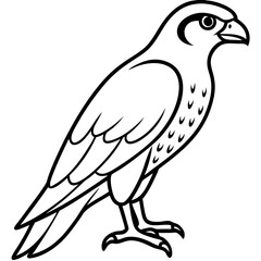 Clean and Modern Falcon Line Art