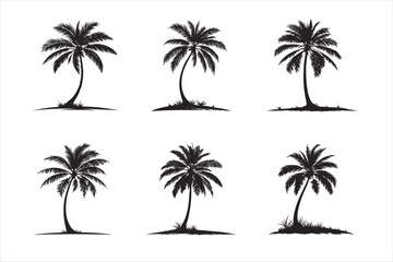 Fototapeta premium A coconut tree silhouette black colour with white bacground.