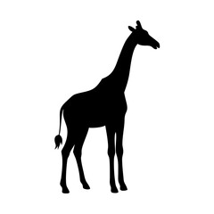 giraffe silhouette vector