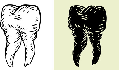 Tooth silhouette in hand drawn style. Set design element for print, tattoo, healthcare in outline and fill version. Vintage vector illustration.