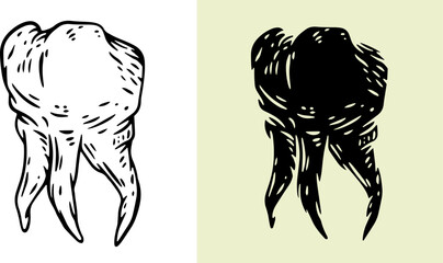 Tooth silhouette in hand drawn style. Set design element for print, tattoo, healthcare in outline and fill version. Vintage vector illustration.