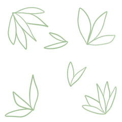 digital pencil artwork png random leaves