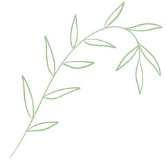 digital pencil artwork png strand of leaves