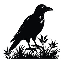 crow on a branch