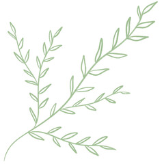 Naklejka premium digital pencil artwork png 5 strand of leaves