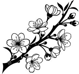 branch of cherry blossom vector 