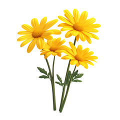 Obraz premium 3D Vibrant Daisy Plant with Multiple Bright Yellow Flowers Isolated on Transparent Background