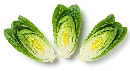Obraz premium Cutting Romaine Lettuce Fresh Green Salad Preparation on White Surface