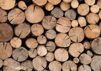 Background agricultural in the village. A cut of trees. Harvesting of round circle firewood for the...