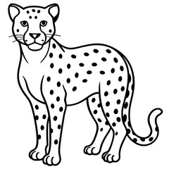 Fototapeta premium Graceful Cheetah Outline Sketch