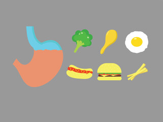  cartoonish representation of the human body with a stomach and a bunch of food items surrounding it. The food items include a hot dog, a hamburger, an egg, broccoli, and chicken