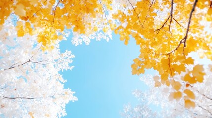 Naklejka premium Autumnal Canopy