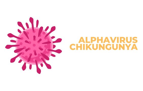 Alphavirus chikungunya New diseases Virus Outbreak