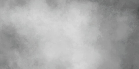 Obraz premium High-Resolution Gray Fog Texture with Subtle Gradient Blending for Use in Cinematic or Dramatic Visual Effects