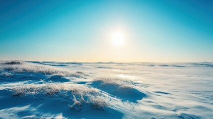 Obraz premium Serene winter landscape with snow-covered dunes and bright sunlight scene