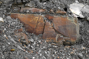 Mountain rock in the Carpathians. Rock layers in mountains. Geology.