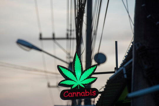 THAILAND UTTARADIT CANNABIS SHOP