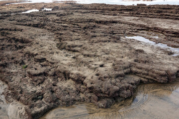 Sea bottom during a low tide.