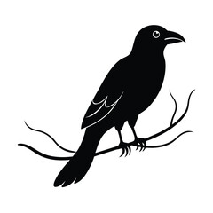 Crow Perch Silhouette Vector Branch Design