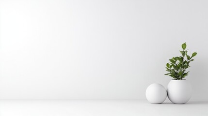A small plant in a white pot sits beside a white sphere against a white wall. The image is minimalist, with a clean aesthetic. The lighting is even and bright, creating a calm mood. The background