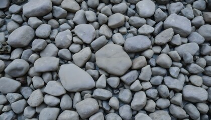bunch of rocks that are laying on the ground