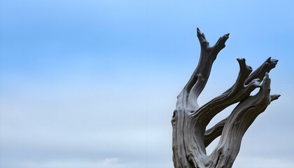 tree that is standing in the grass