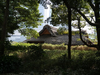 藁ぶき屋根の日本家屋