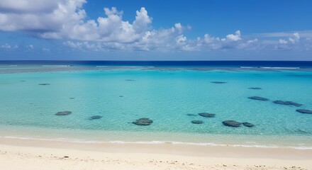 Fototapeta premium Turquoise Ocean Meets White Sand Beach on a Sunny Day