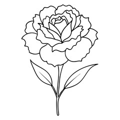 Carnation Flower Coloring Book Page Line Art Drawing
