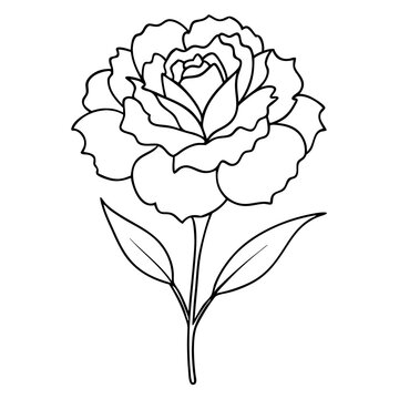recommend clip art: Carnation Flower Coloring Book Page Line Art Drawing