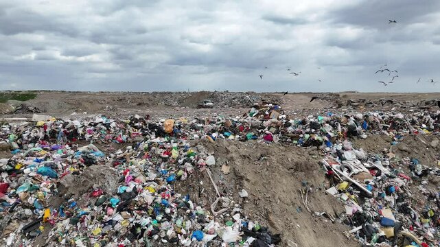 Aerial View of Birds and Garbage Truck at Landfill Site &ndash; Daytime Drone Footage

