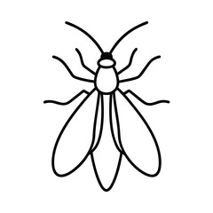 firefly line art vector illustration on white background