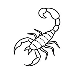 scorpion line art vector illustration on white background