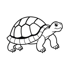 tortoise line art vector illustration