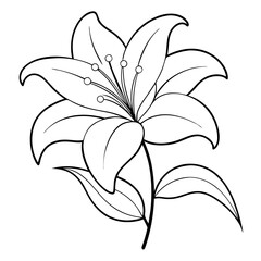 Obraz premium Lily Flower Coloring Book Page – Elegant Line Art Drawing for Creative Minds