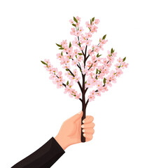 Obraz premium Hand holding a branch of beautiful pink cherry blossoms against a white isolate background, symbolizing spring and renewal.