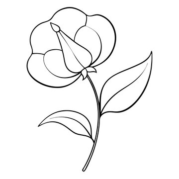 recommend clip art: Sweet Pea Flower Coloring Book Page Line Art Drawing