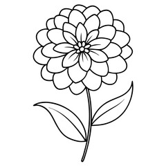 Obraz premium Zinnia Flower Coloring Page Line Art Drawing