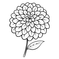 Zinnia Flower Coloring Page Line Art Drawing