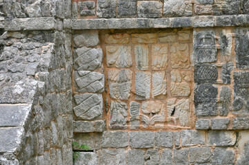 The ruins of one of the largest ancient maya city.