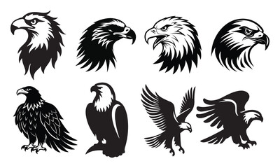 vector Bald Eagle set silhouette black in white background