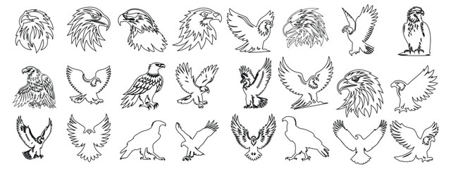  Eagle Outline set silhouette black in white background