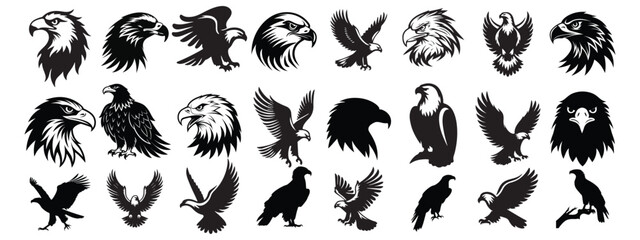Eagle Head Silhouette Vector Collection Bold and Powerful Bird Icons