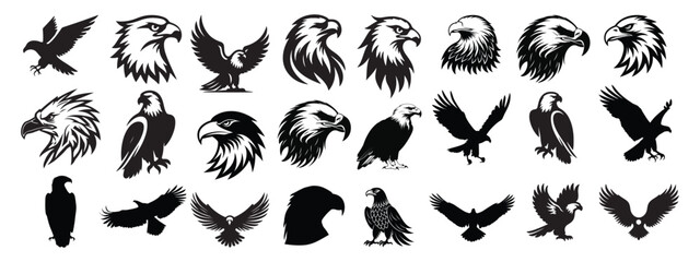 Eagle Head Silhouette Vector Collection Bold and Powerful Bird Icons