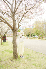 2025年シンボルプロムナード公園の桜を撮る女性